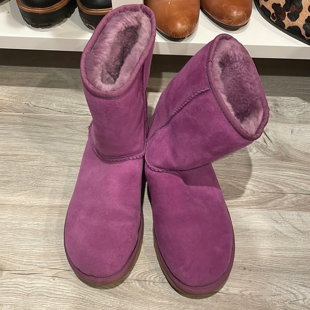 Fuchsia Ugg Boots